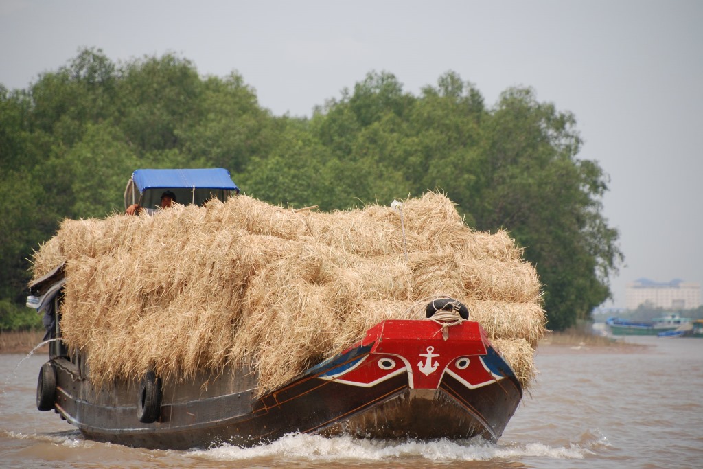The Boat carrying straw
