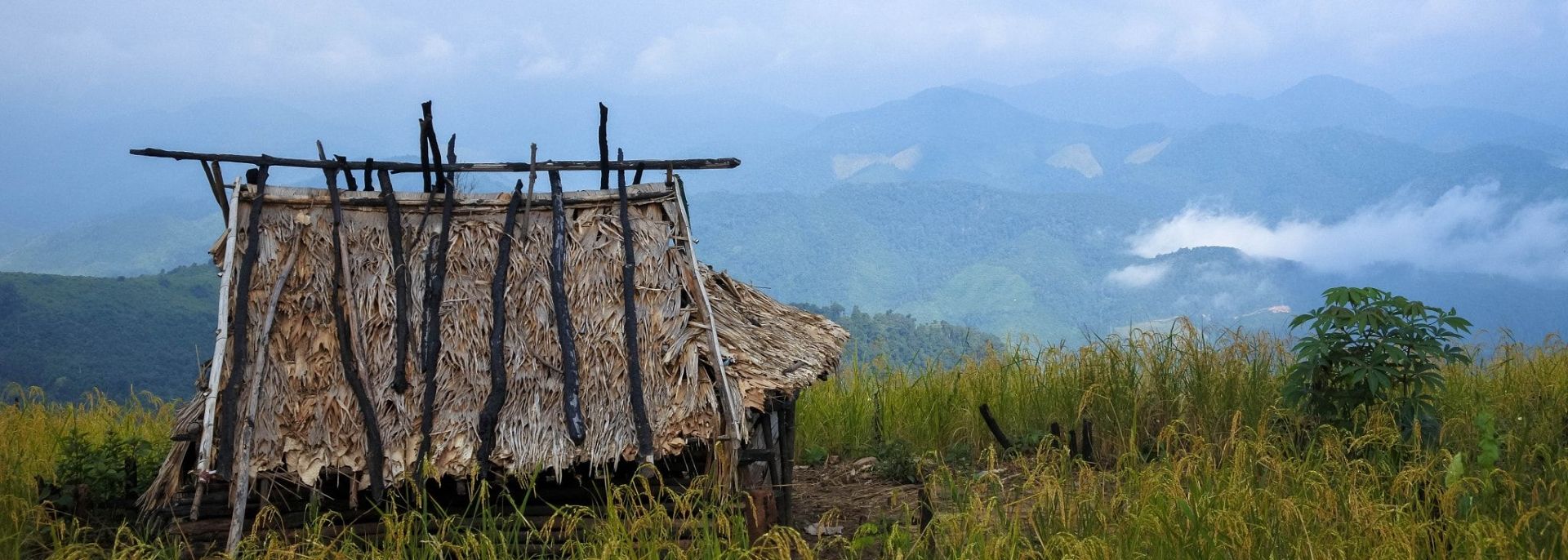 Trekking Luang Namtha - Vieng Phoukha (Laos)